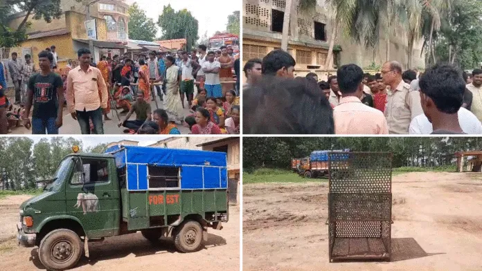 হামলাকারী হনুমান ধরার দাবিতে পথ অবরোধ স্থানীয়দের
