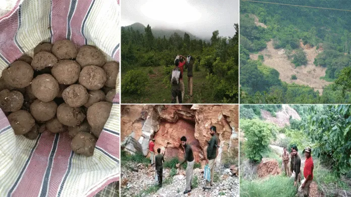 শুশুনিয়া পাহাড়ের কোলে সিড বোম তৈরি করে সবুজায়নের উদ্যোগ