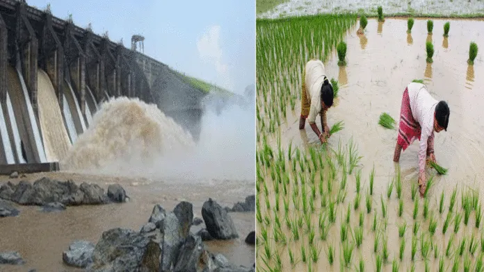 বৃষ্টি নেই, চাষের জন্য জল ছাড়া শুরু করল ডিভিসি