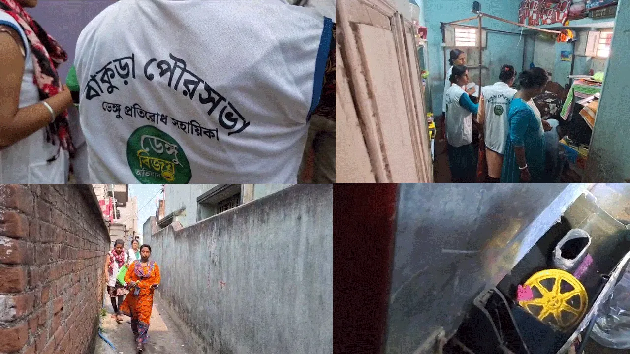 বাঁকুড়া শহরে ডেঙ্গির থাবা,আক্রান্ত ৩৩ জন