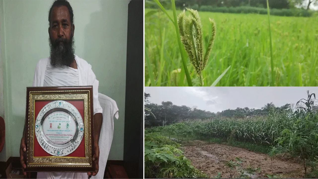 জৈব পদ্ধতিতে লাল মাটিতে সোনা ফলিয়ে রাষ্ট্রপতি সম্মান