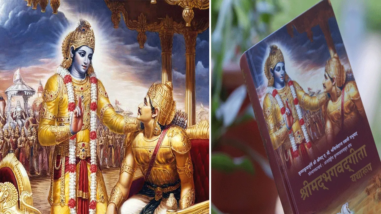 ফলের আশা না করে কাজ করার মানে কী?