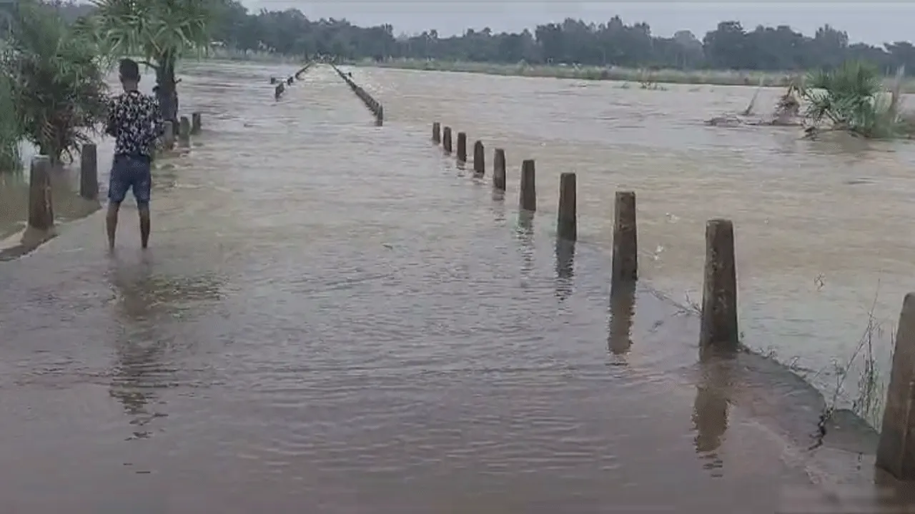 টানা বৃষ্টিতে জলের তলায় শিলাবতী নদীর কজওয়ে, বন্ধ যাতায়াত