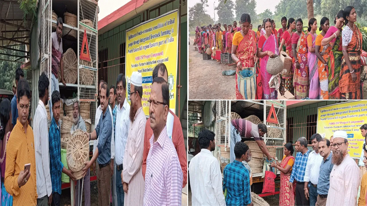 দীপাবলির আগে তপশীলি জাতি ও উপজাতিদের উপহার