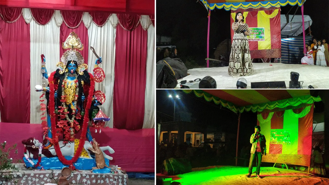 সাংস্কৃতিক অনুষ্ঠানে মেতে উঠল চাণক