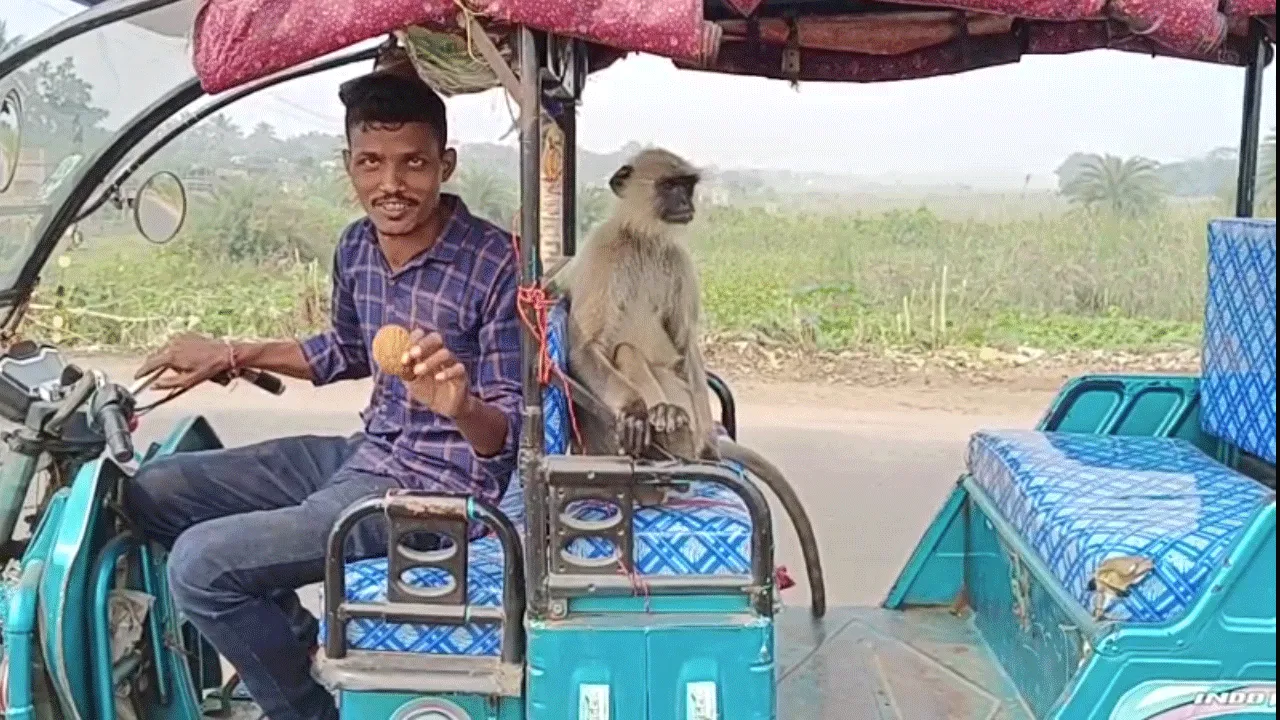 যাত্রীদের সঙ্গে টোটোয় করে নির্বিঘ্নে ঘুরে বেড়ান দুর্গাপুরের এই বজরংবলী
