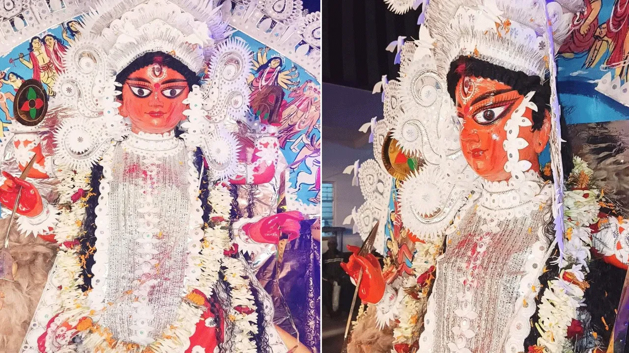 বিজয়ার নয়দিন পরে জগদ্ধাত্রী মায়ের ঘট বিসর্জন ব্যানার্জী বাড়িতে