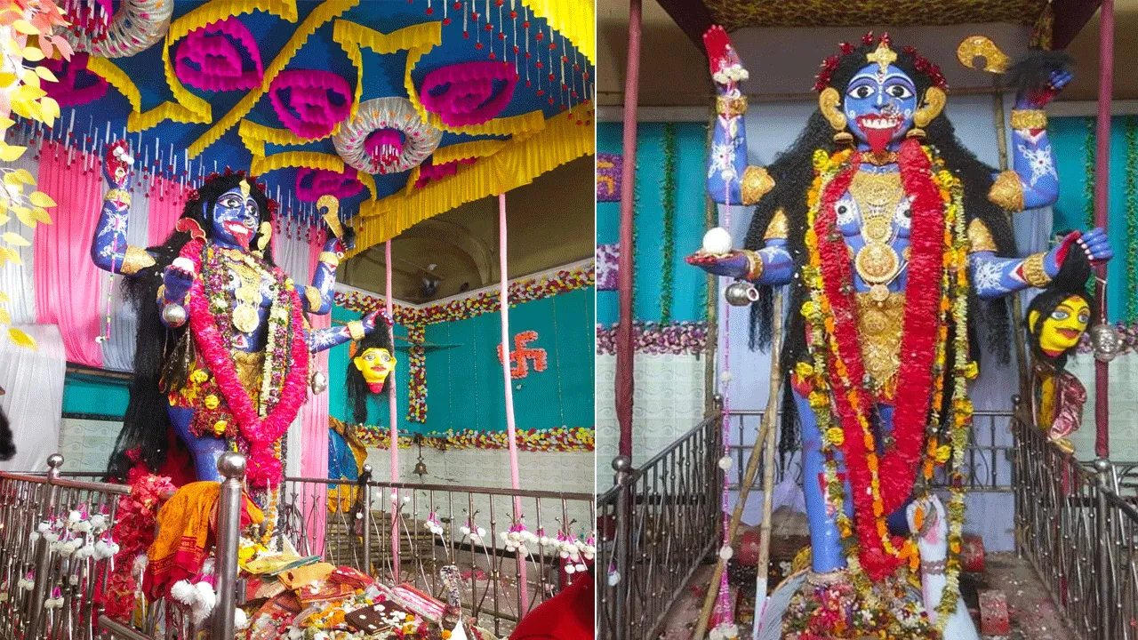 বোল্লা কালী মায়ের পুজোয় অদ্ভুত মানত!দেখুন মায়ের পুজোর সাজ!