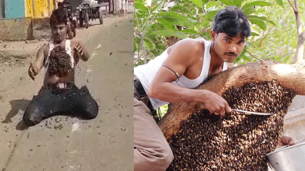বাঁকুড়ার “বি ম্যান” বা”মৌমাছি মানব” সুখ মহম্মদ