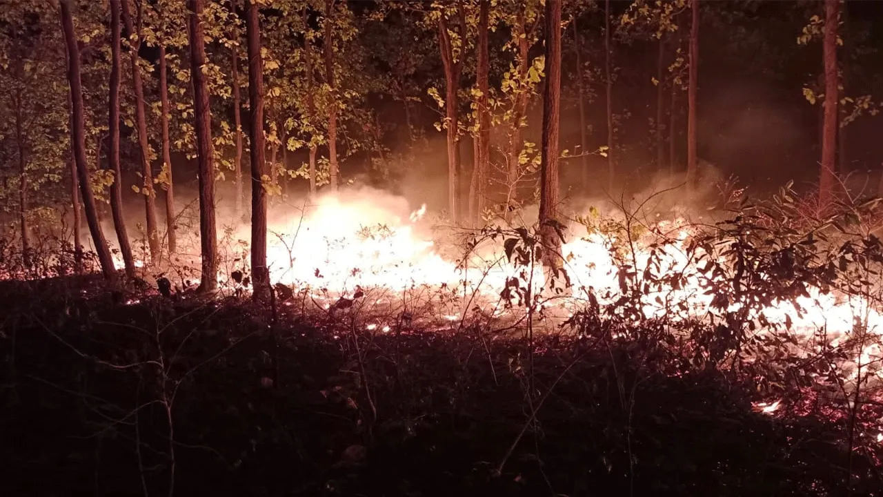 ফের আগুন শুশুনিয়া পাহাড়ে
