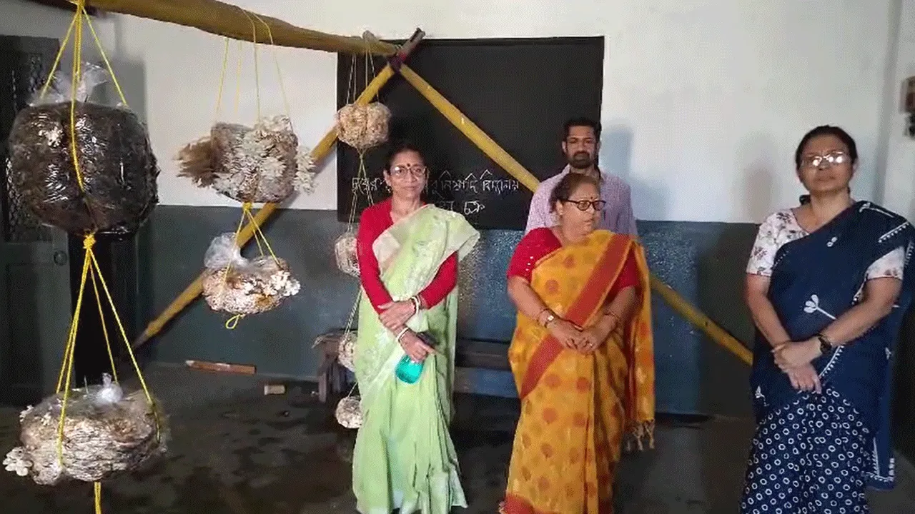 মিড ডে মিলের জন্য স্কুল ঘরে মাশরুম চাষ শিক্ষক ও শিক্ষিকাদের