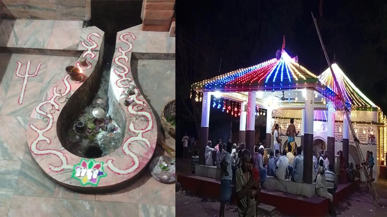 নীল ষষ্ঠীতে সন্তানের মঙ্গল কামনায় মায়ের কী করবেন?