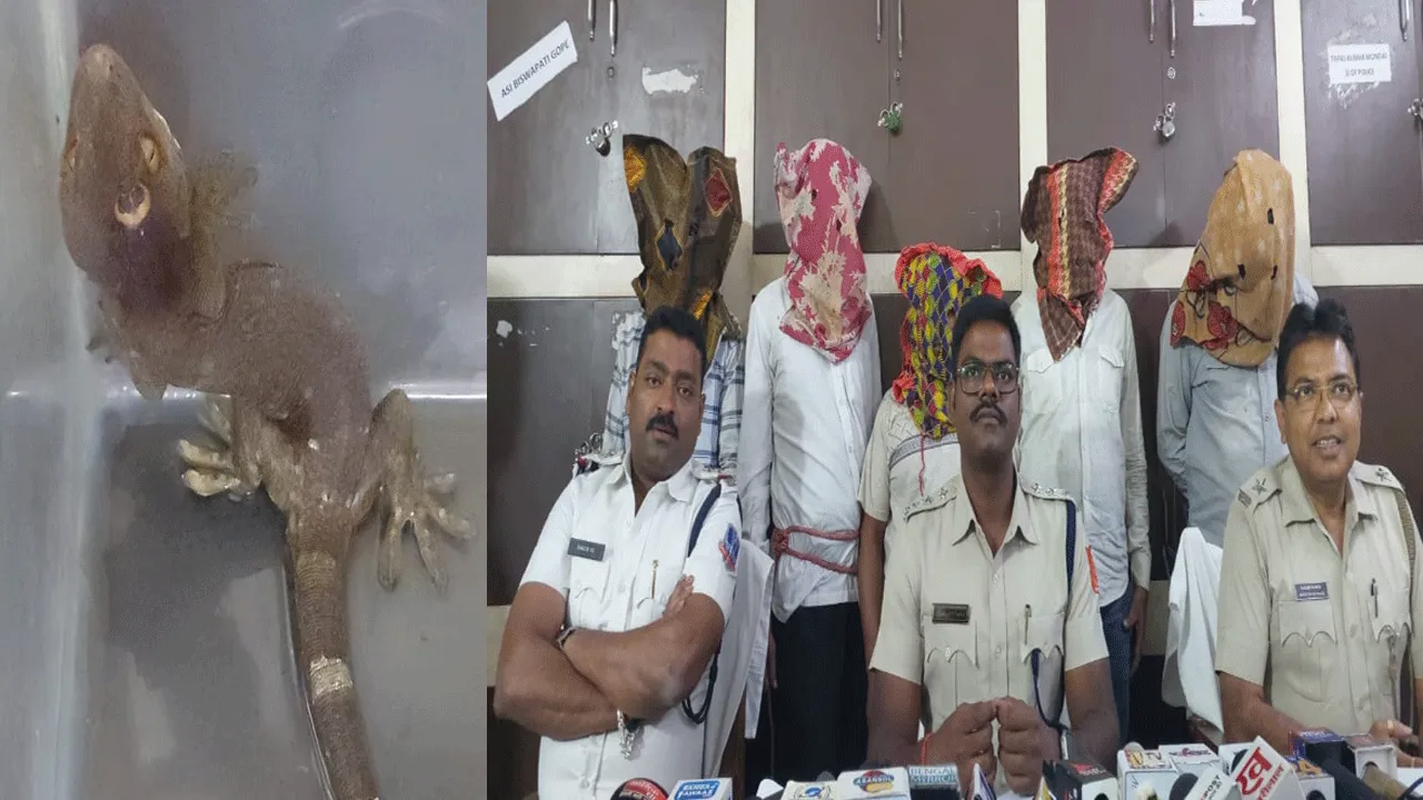 বিরল প্রজাতির তক্ষক সহ হোটেল থেকে গ্রেফতার ৫