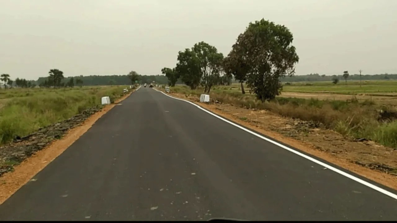 রাস্তার ধারে গাছ নাই – সমস্যায় সাধারণ মানুষ