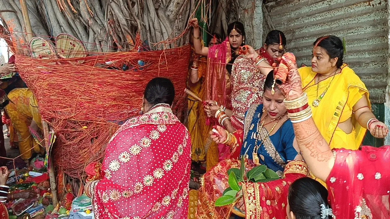 বট সাবিত্রীর পুজো শিল্পাঞ্চলে