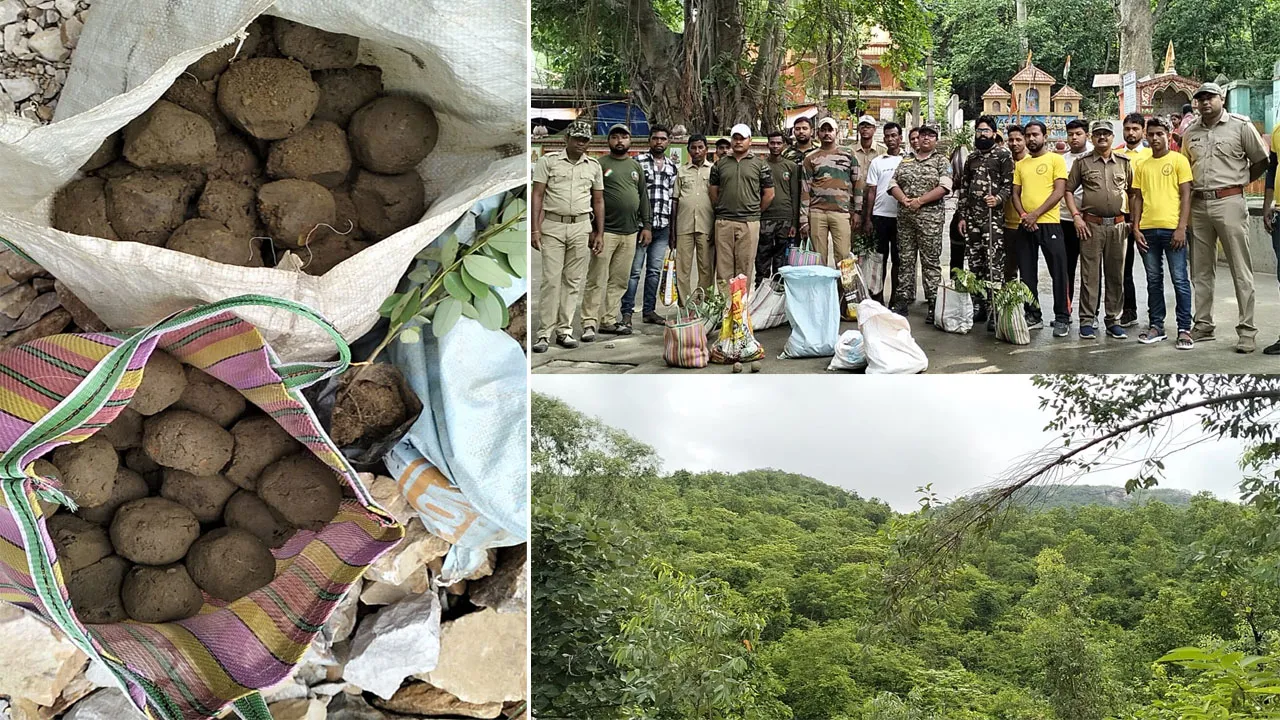 ফের শুশুনিয়া পাহাড়ে সিড বোম