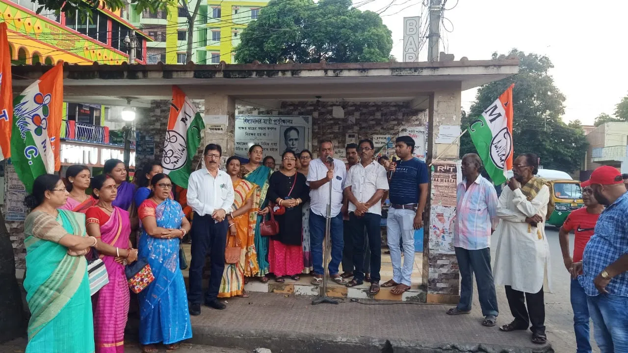 কেন্দ্রে বাজেটের বিরুদ্ধে তৃণমূলের প্রতিবাদ