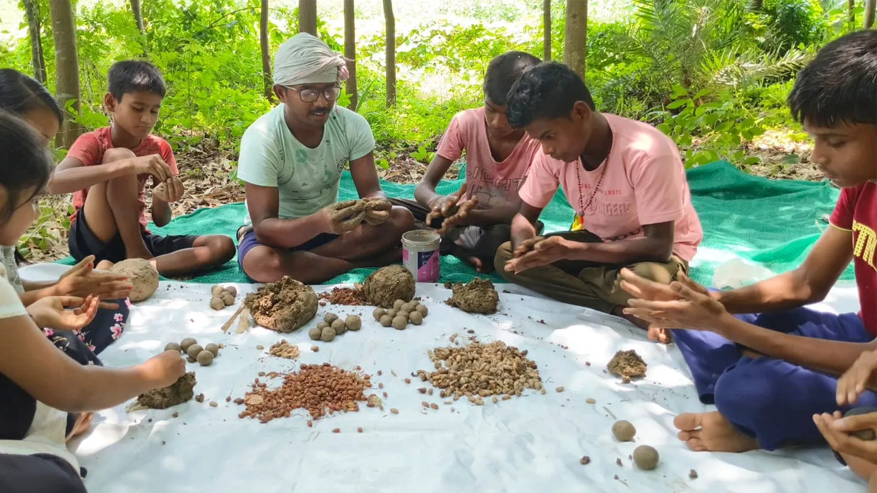 সবুজায়নের লক্ষ্যে তৈরি হচ্ছে এক লক্ষ সিড বোমা