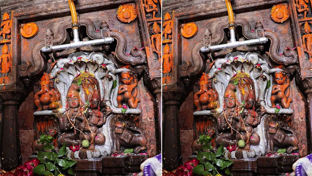 নাগচন্দ্রেশ্বর মহাদেবের দর্শনেই কালসর্প দোষ খন্ডন