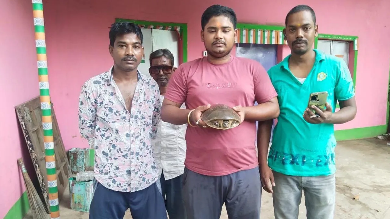 মন্দির থেকে বিরল প্রজাতির কচ্ছপ উদ্ধার
