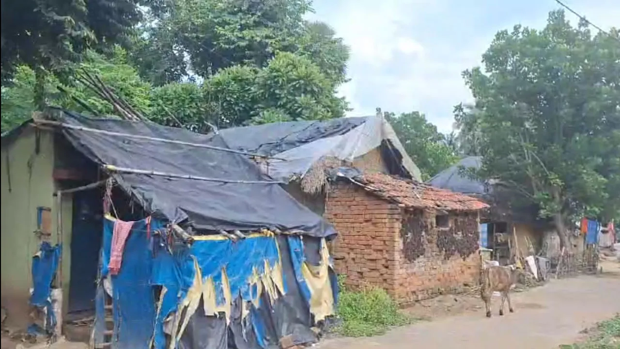 বন্যায় ভেসেছে বাড়ি, ত্রিপল খাটিয়ে চার বছর ধরে বসবাস