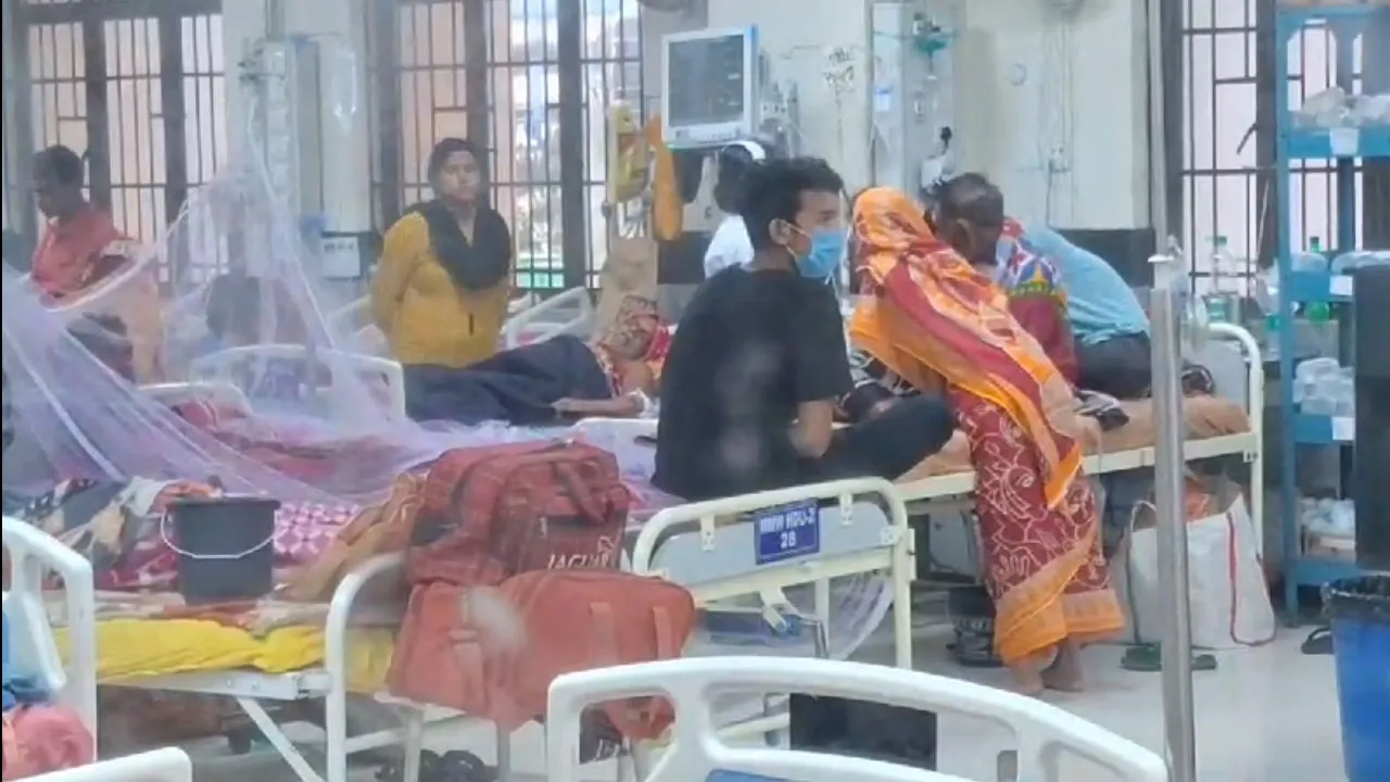 বাঁকুড়ায় ডেঙ্গি আক্রান্ত হয়ে মৃত্যু হলো দু’জনের