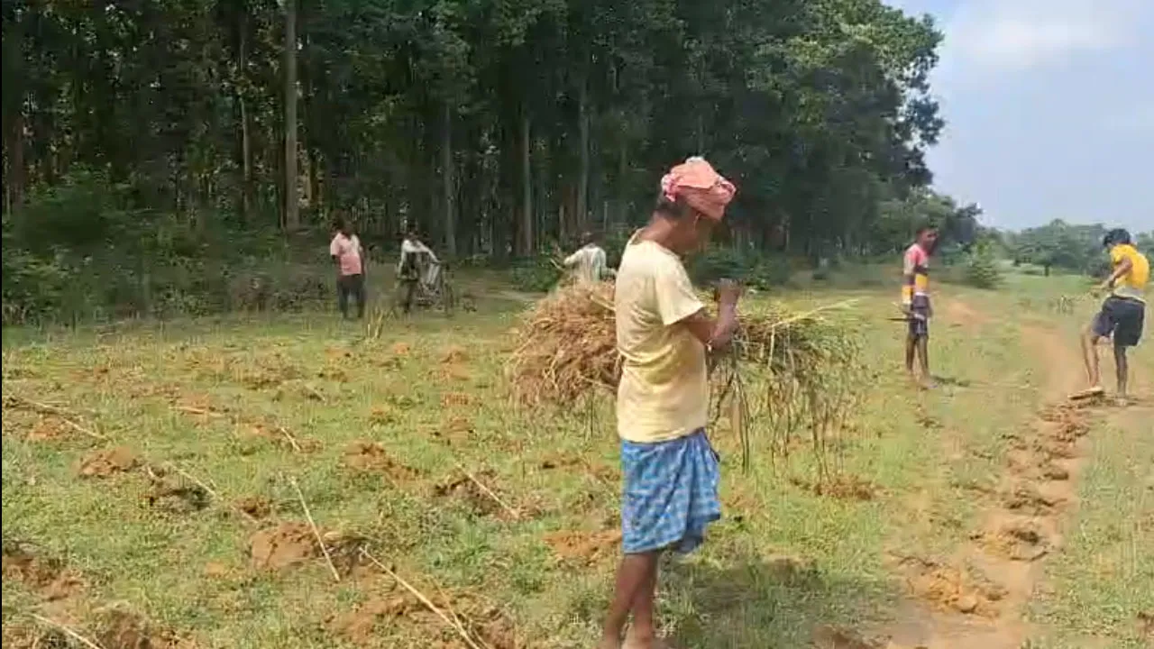 হাতির তাণ্ডব কমাতে নয়া কৌশল বন দপ্তরের