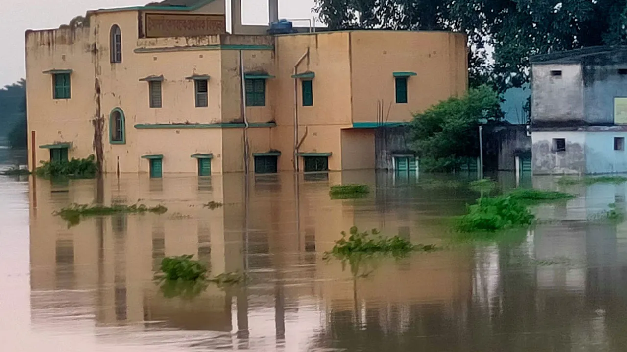 দামোদরের জল ঢুকে প্লাবিত হুগলির বিস্তীর্ণ এলাকা