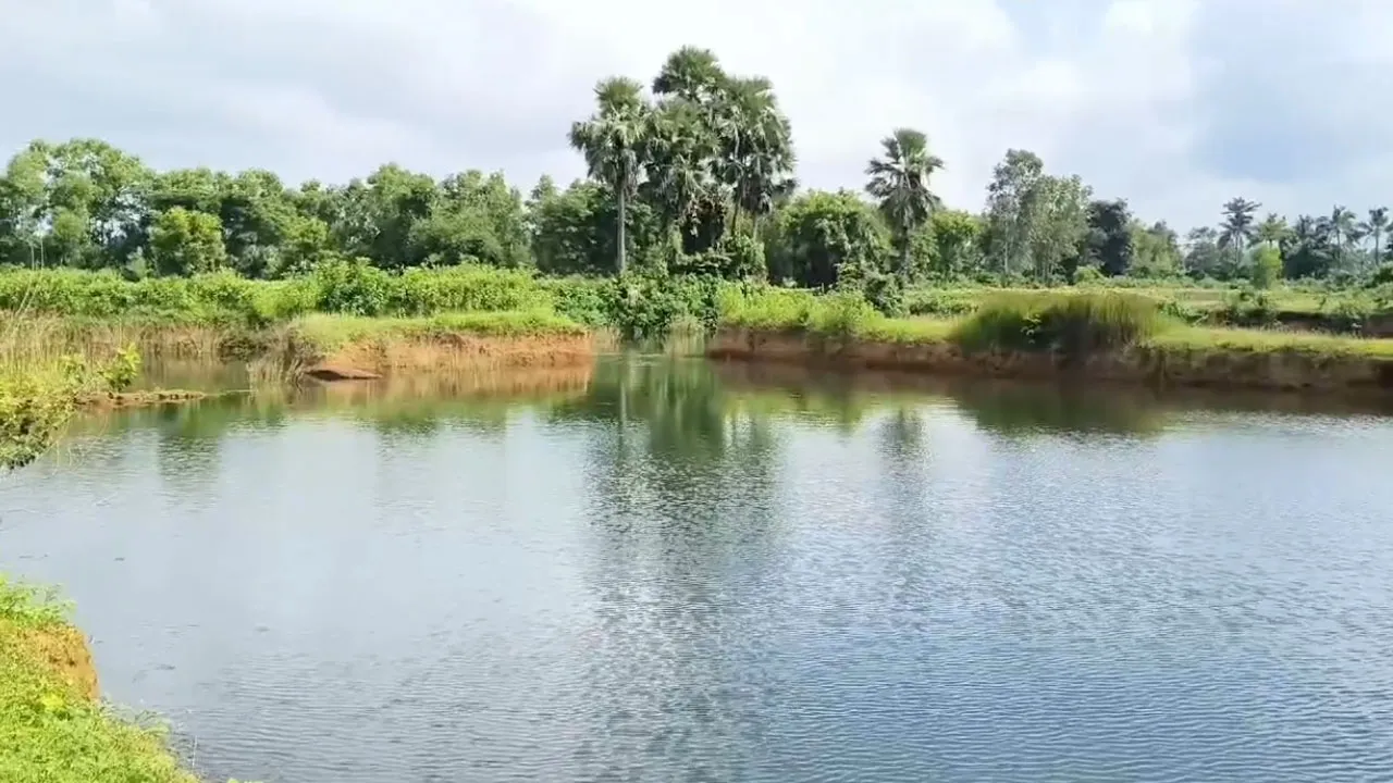 গভীর খাদানে স্নান করতে নেমে শিশুর মর্মান্তিক পরিণতি
