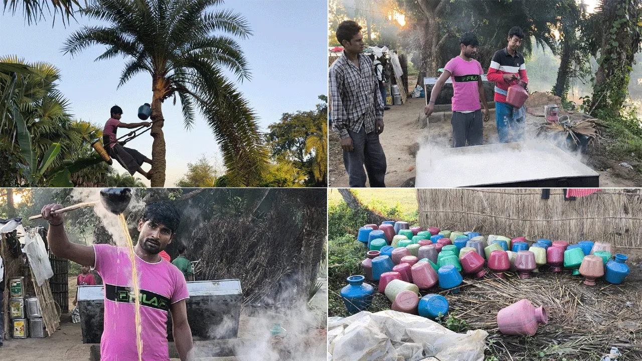 শীতের আজেম শুরু হতেই ব্যস্ততা তুঙ্গে শিউলিদের