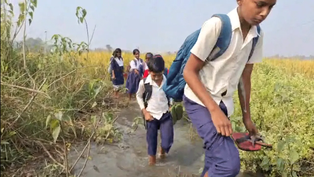 জল কাদা, বিষধর সাপের আস্তানা পেরিয়ে প্রাণ হাতে যাতায়াত পড়ুয়াদের