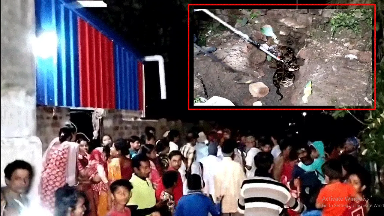 লোকালয় থেকে প্রায় ১০ ফুটের অজগর উদ্ধার