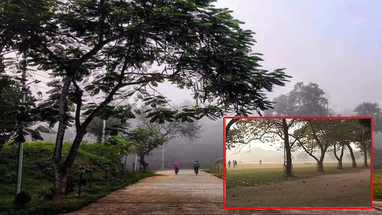 আগামী সপ্তাহেই বঙ্গে শীতের আমেজ!