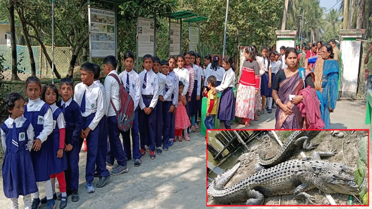 পড়ুয়াদের জন্য শিক্ষামূলক ভ্রমণের আয়োজন করল ফলতা অবৈতনিক প্রাথমিক বিদ্যালয়