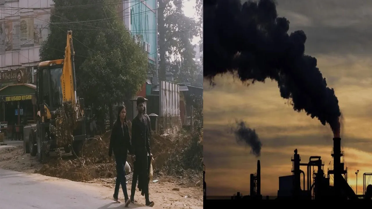 গাছ কাটছে এডিডিএ, ঘুমোচ্ছে দূষণ নিয়ন্ত্রণ পর্ষদ