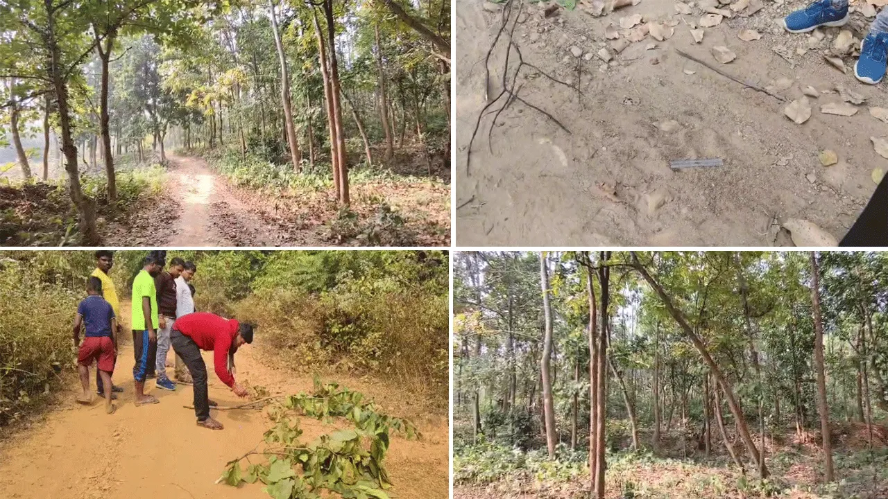 ফের বাঘের আতঙ্ক বাঁকুড়ার জঙ্গলমহলে