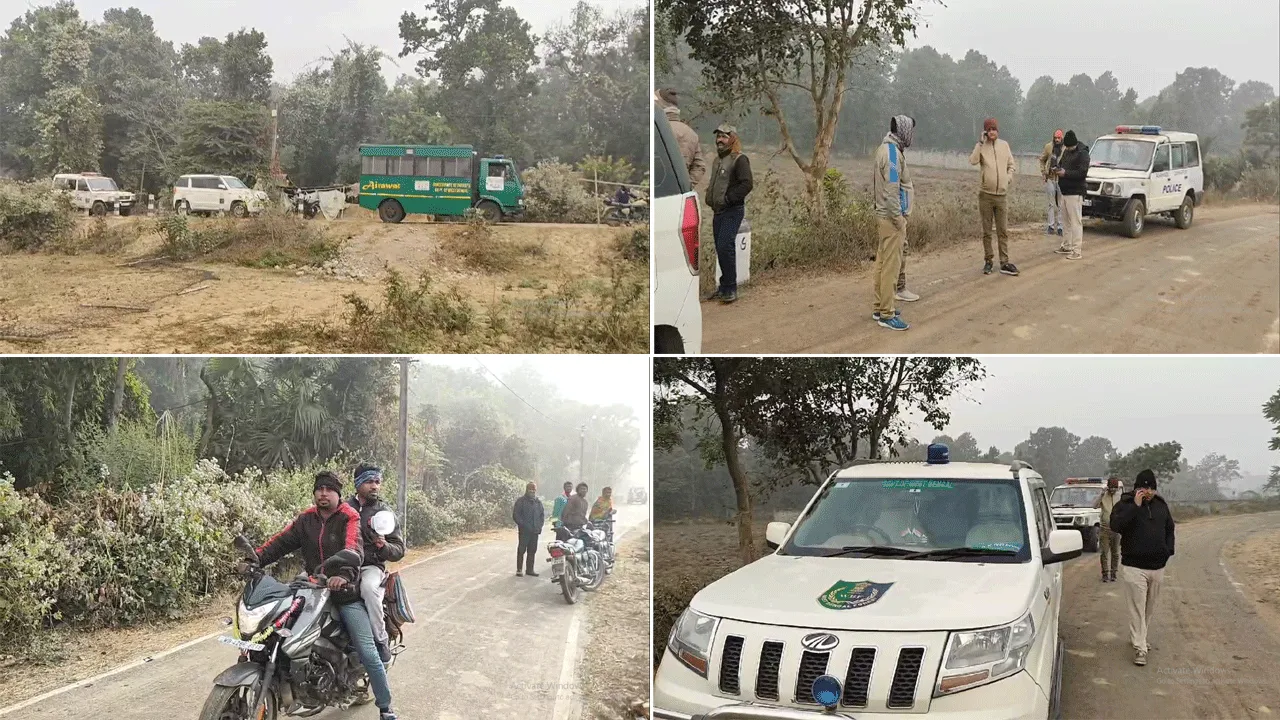 কাঁকসার জঙ্গলে ঘাপটি মেরে জোড়া হাতি, আতঙ্ক
