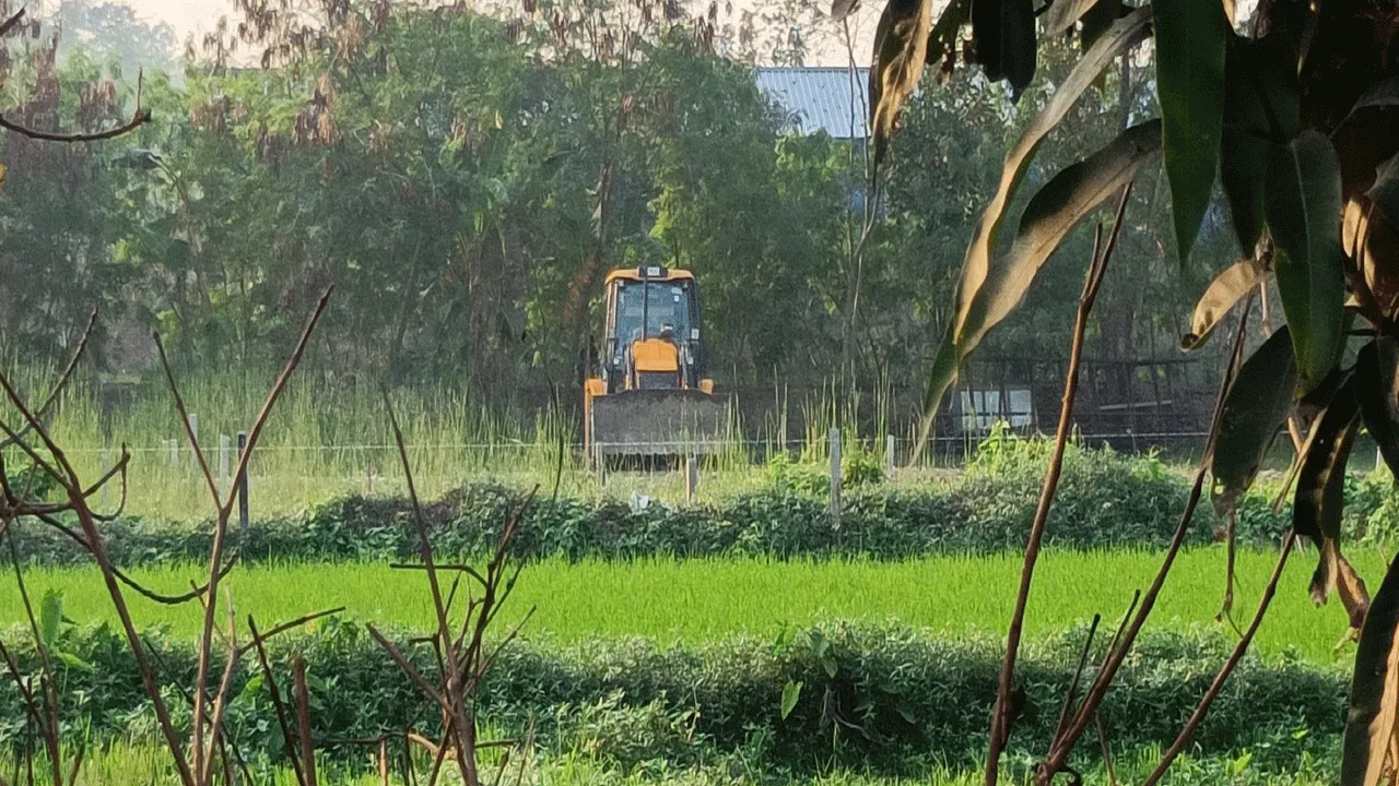 শিল্পতালুকে দালালেরা প্লট করে দেদার বাংলাদেশী চাষ করছে