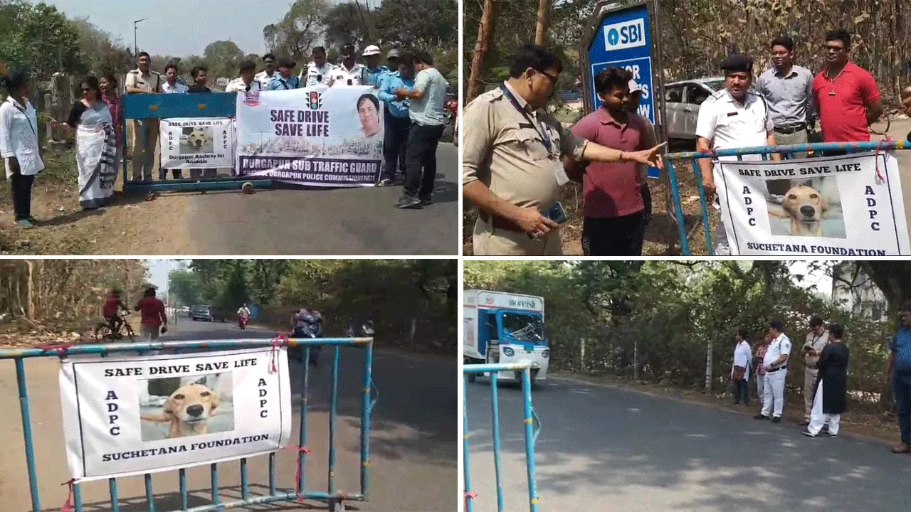 পথ সারমেয়দের বাঁচাতে দুর্গাপুরে “সেফ ড্রাইভ সেভ লাইফ” কর্মসূচি