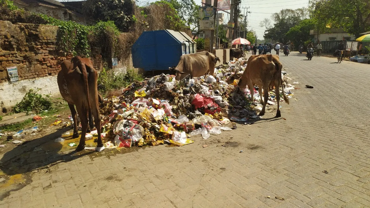 রাস্তায় নেমেছে আবর্জনা, দূষণের অভিযোগ