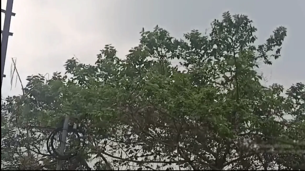 বৃহস্পতিবার থেকে বৃষ্টি ও সঙ্গে ঝোড়ো হাওয়ার পূর্বাভাস