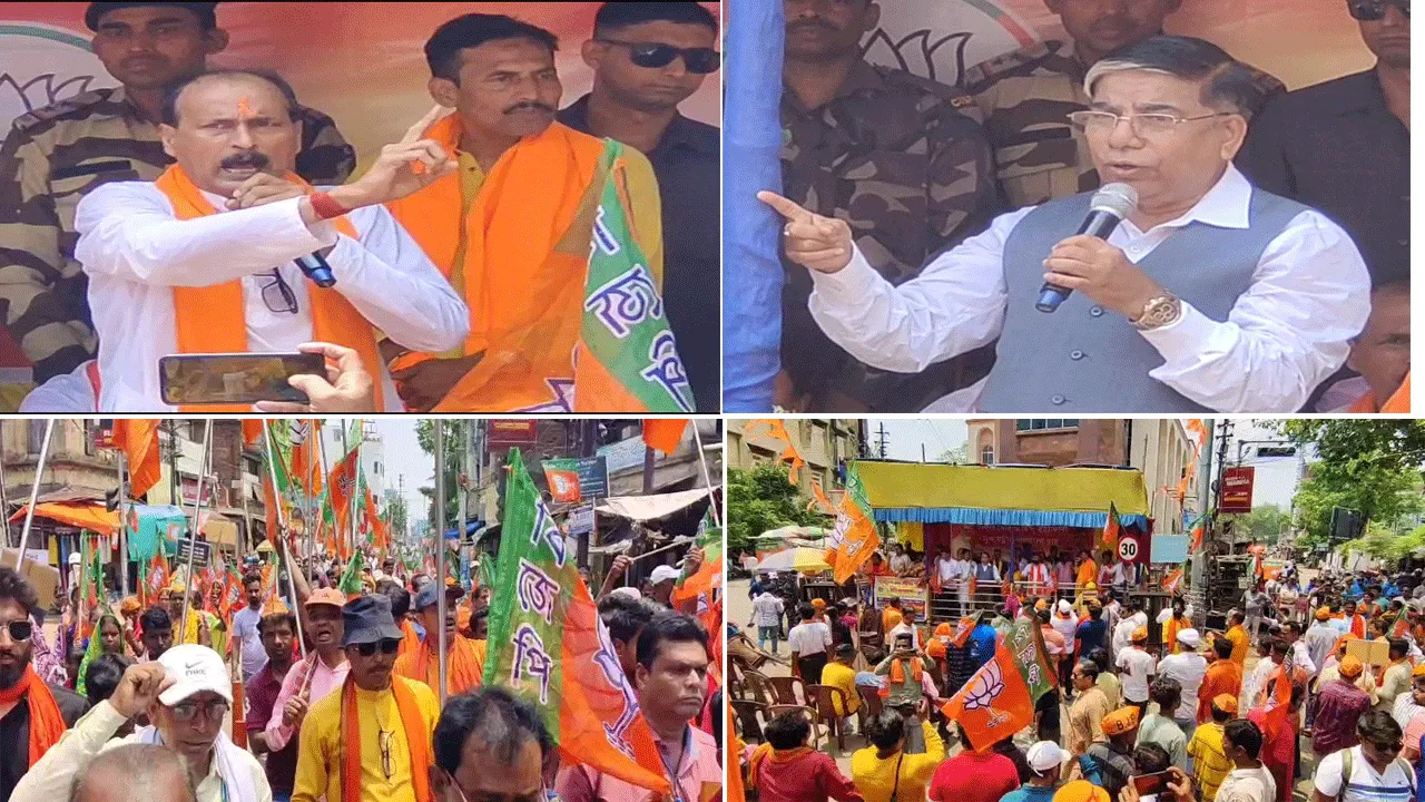 শাসকদলের বিরুদ্ধে ক্ষোভ উগড়ে বিতর্কিত মন্তব্য বিজেপির দুই নেতার