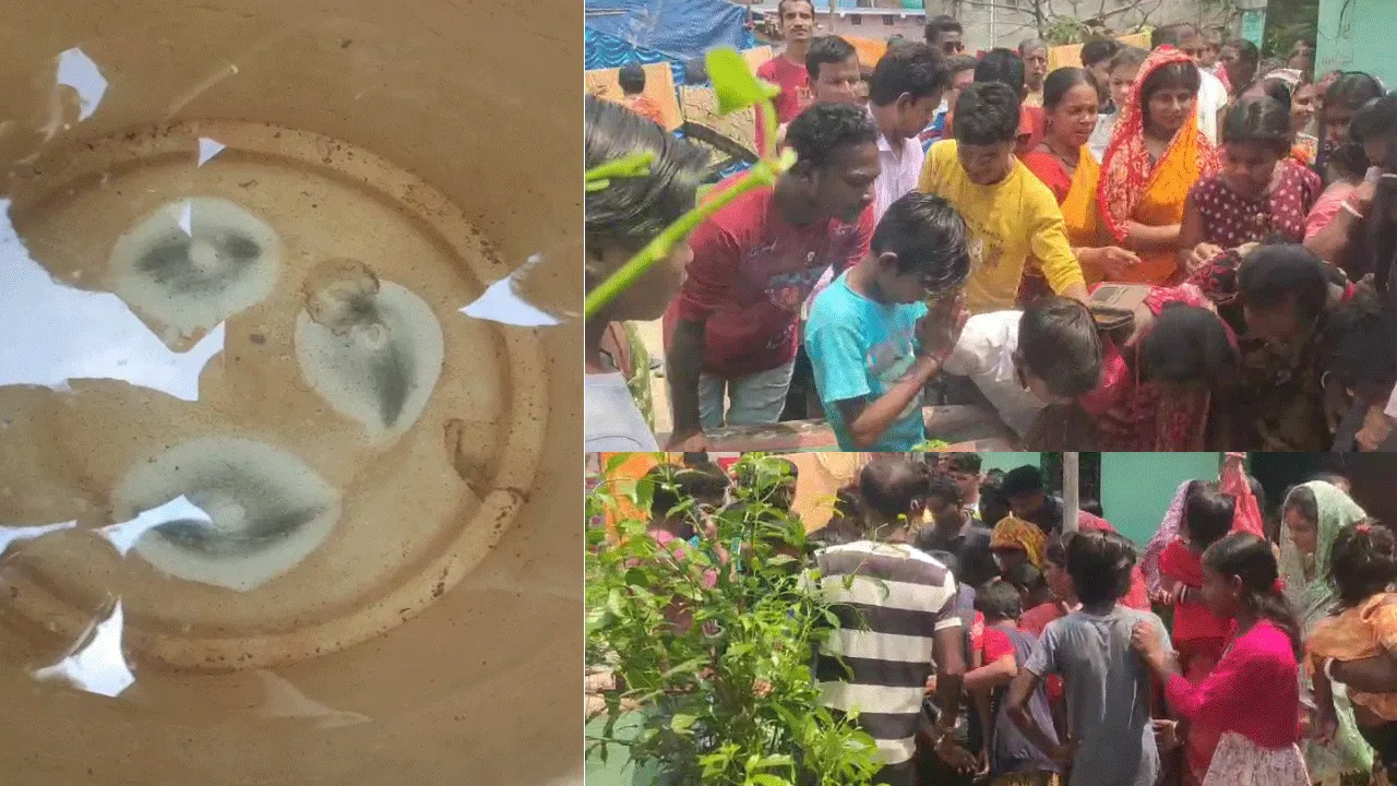 বালতির জলে মহামায়ার চোখ! কি বললো বিজ্ঞানমঞ্চ?