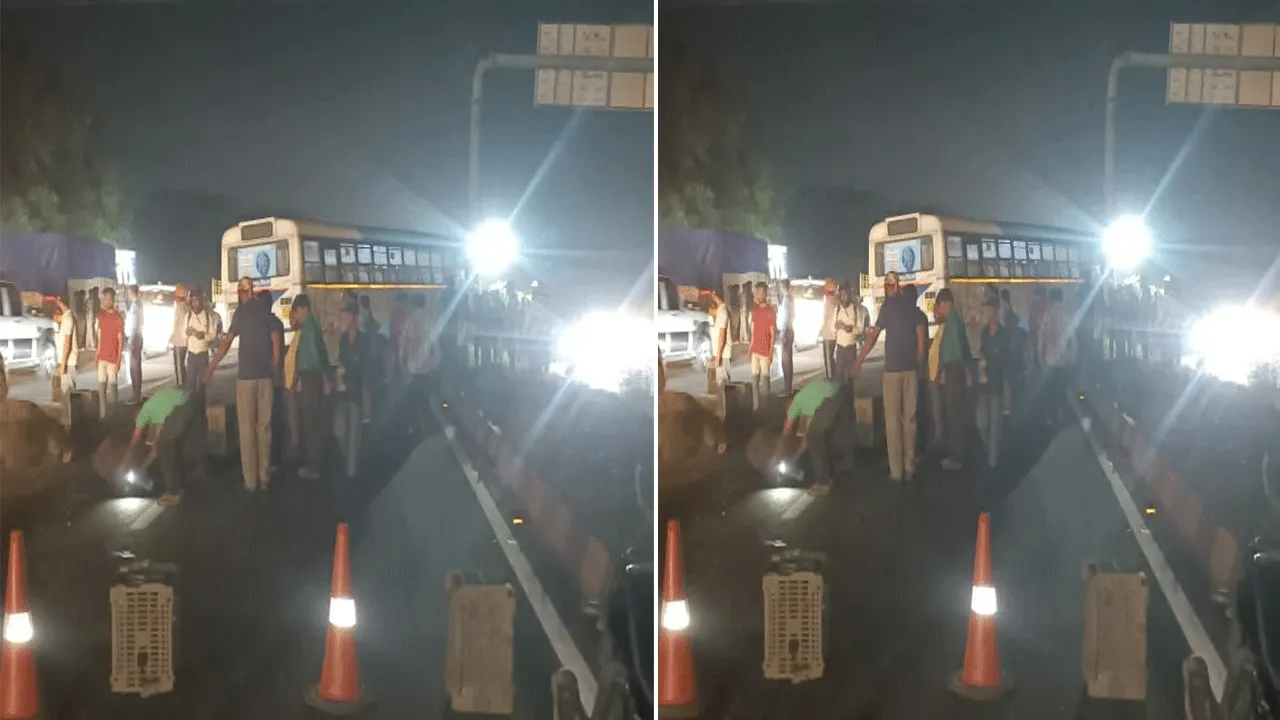 জাতীয় সড়কে সরকারি বাসের সঙ্গে মোষের ধাক্কা