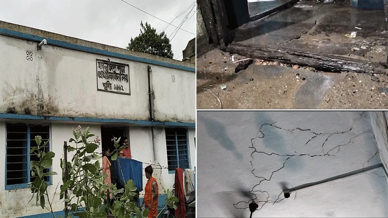 ভিজে দেওয়াল, ইলেক্ট্রিকের শক খাচ্ছে পড়ুয়ারা, চলছে স্কুল