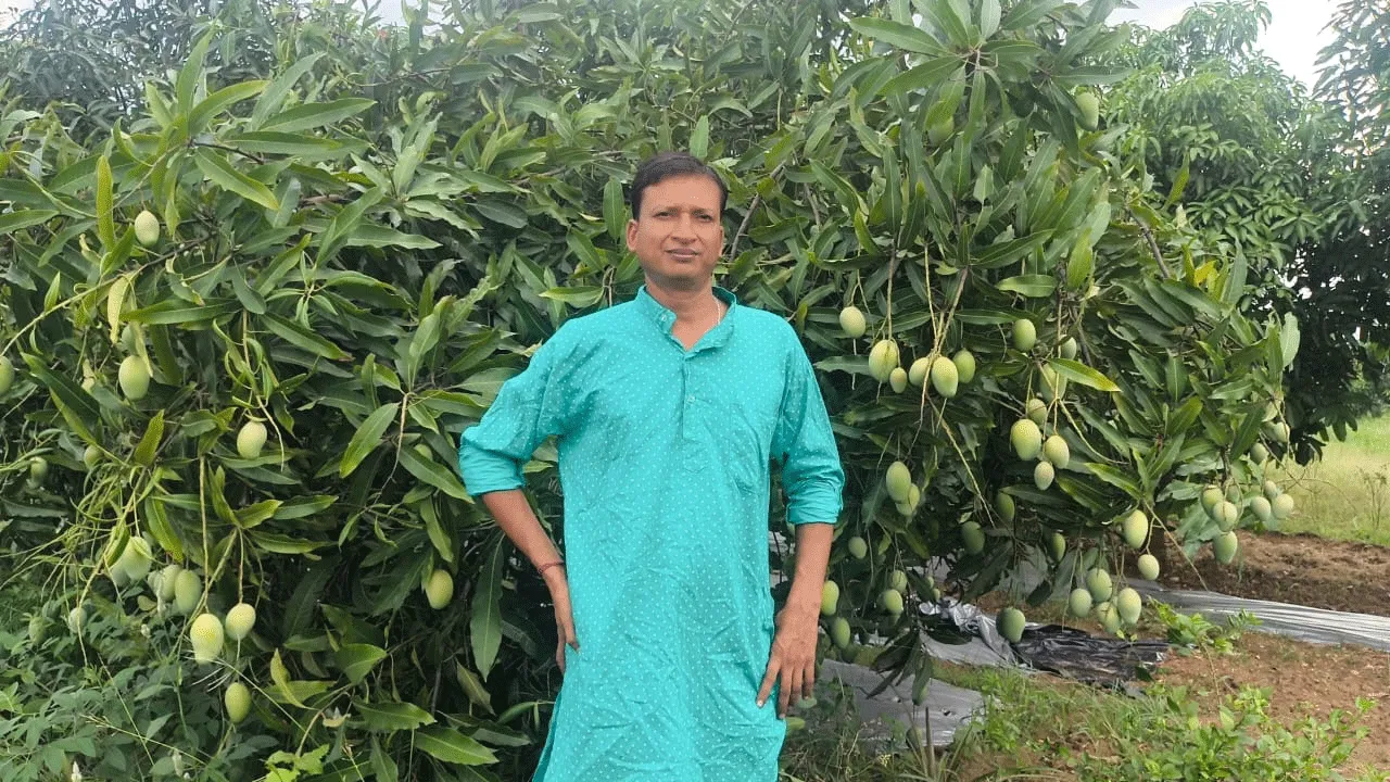 সরকারি চাকরি ছেড়ে চাষবাস!