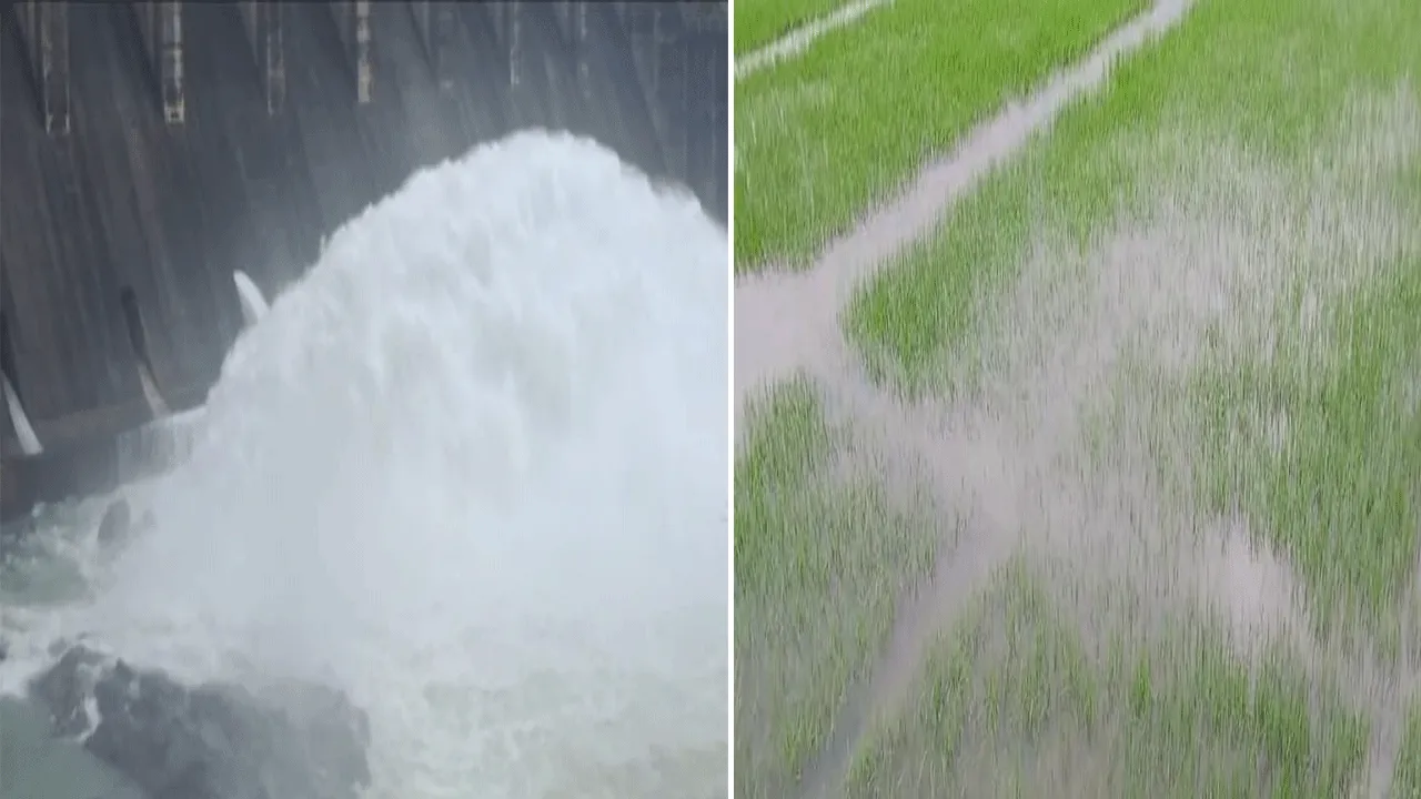 নাগাড়ে বৃষ্টির জের, ৪০ হাজার কিউসেক জল ছাড়লো ডিভিসি