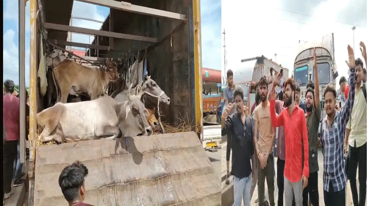 দুর্গাপুরে গরু ভর্তি কন্টেনার আটকে বিক্ষোভ বিজেপির