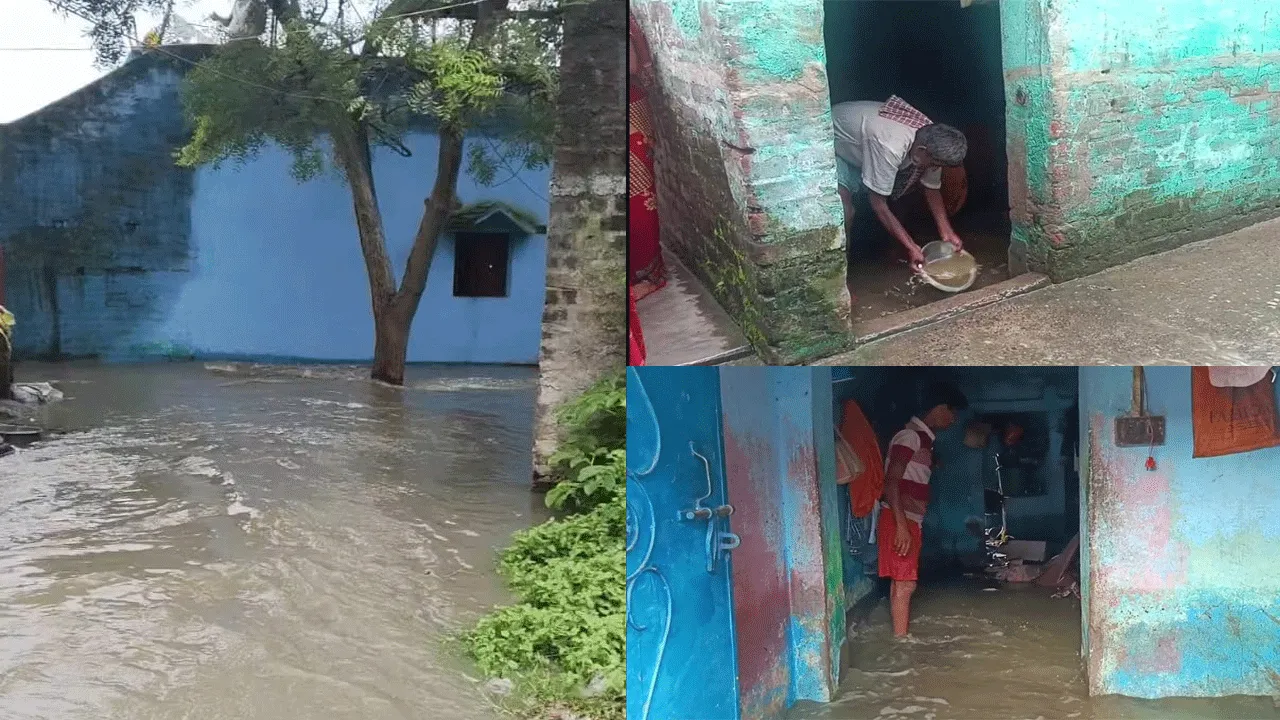 পুকুরের বাঁধ ভেঙে জলমগ্ন এলাকা
