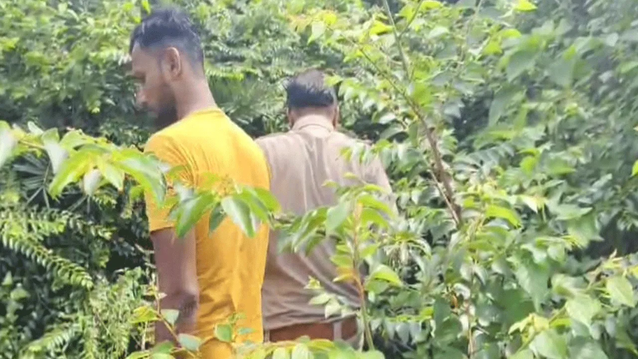 জঙ্গলের মধ্যে কিশোরীকে ধর্ষণ করে খুনের অভিযোগ